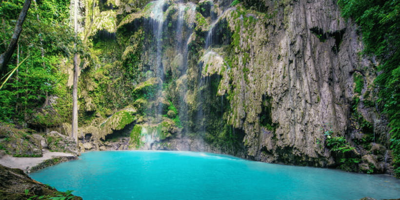 Cebu: Whale Sharks, Tumalog Falls, and Monkey Sanctuary Tour - Who will enjoy this tour most