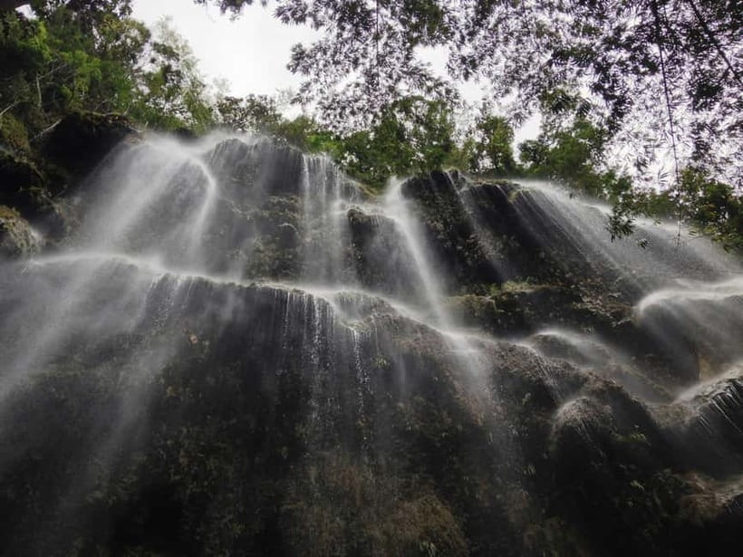 Cebu: Whaleshark Encounter, Sumilon Sandbar & Tumalog Falls - Tumalog Falls and the short rainforest visit