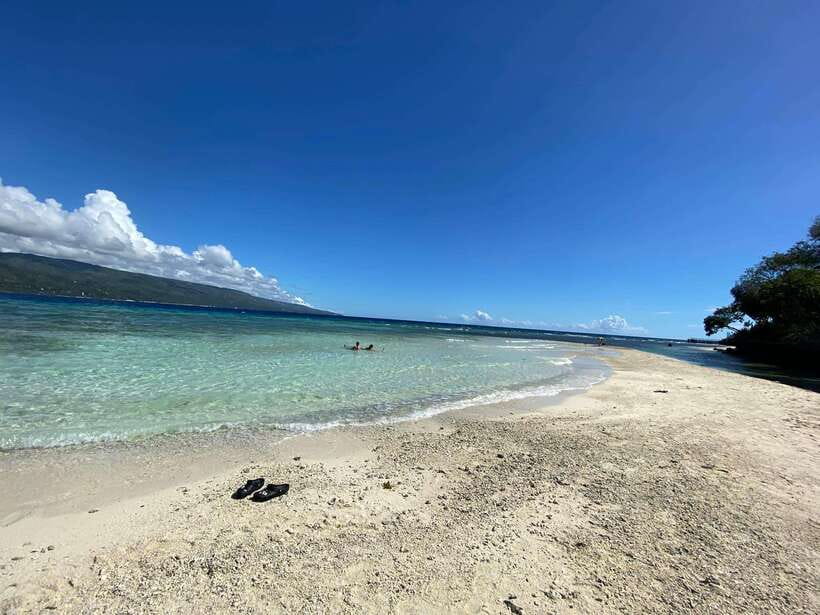 Cebu: Whaleshark Encounter, Sumilon Sandbar & Tumalog Falls - Who will enjoy this Cebu day trip?