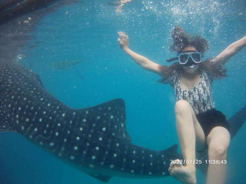 Cebu: Whaleshark Encounter, Tumalog Falls & Sumilon Sandbar - How the $126 price holds up
