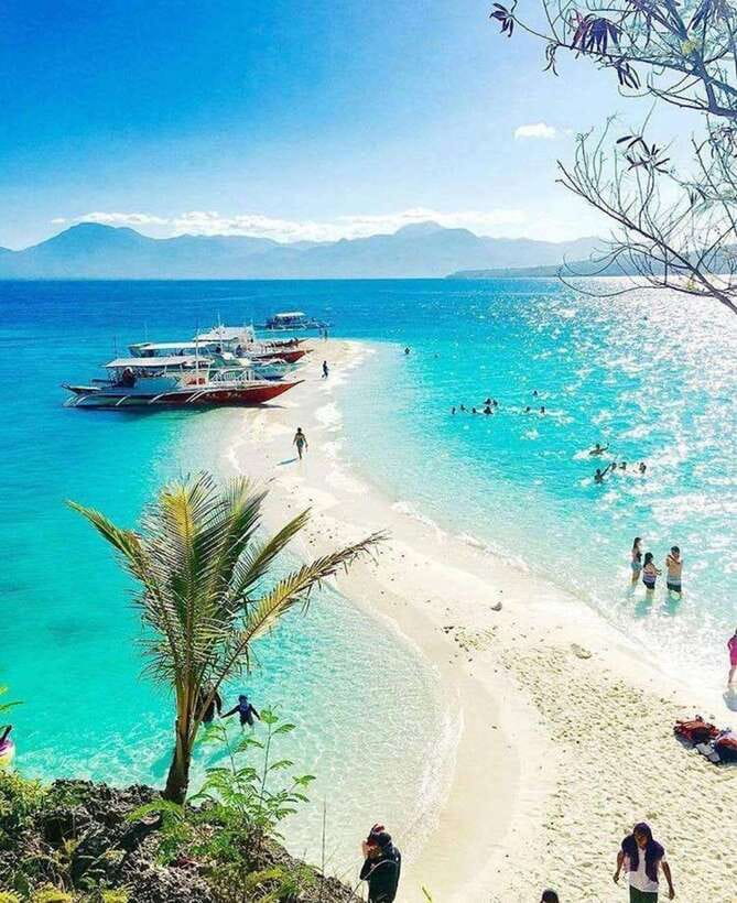 Cebu: Whaleshark Encounter, Tumalog Falls & Sumilon Sandbar - Private transport, pickup, and the long day
