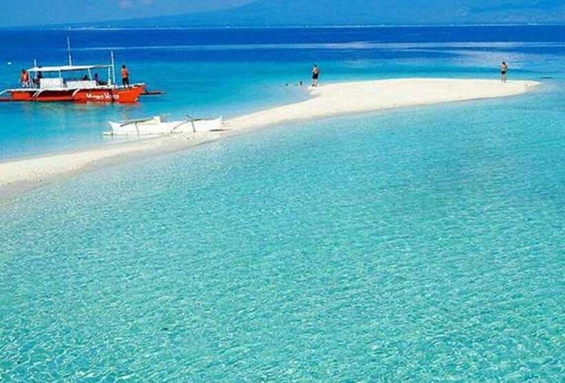 Cebu: Whaleshark Encounter, Tumalog Falls & Sumilon Sandbar - Who will get the most from this tour