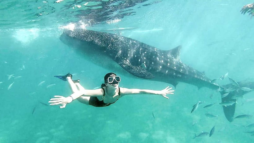 Cebu: Whaleshark Swimming & Kawasan falls Canyoneering Tour - Breakfast, waiting time, and the Oslob facilities