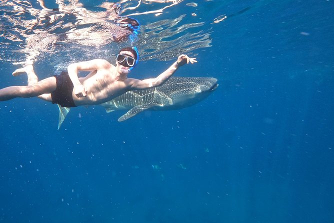 Cebu Whaleshark Tour - Getting ready for the 30-minute water session
