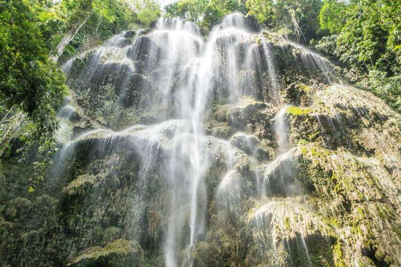 Cebu: WhaleShark , Tumalog Falls, & Sardine Run Snorkeling - Is $124 a fair price for this Cebu day trip?