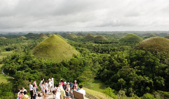 Chocolate hills tour with Tarsier & Loboc river Buffet Lunch (half-day tour) - Quick take: what makes this Bohol tour useful