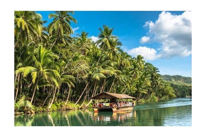 Chocolate hills tour with Tarsier & Loboc river Buffet Lunch (half-day tour) - Why the Chocolate Hills are worth the drive