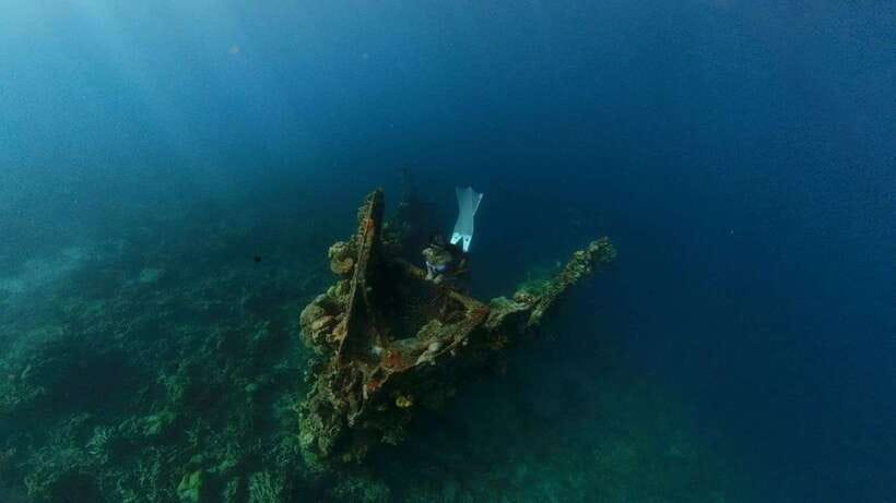Coron: Barracuda Lake and Reef Garden Tour with Lunch - Key points to know before booking