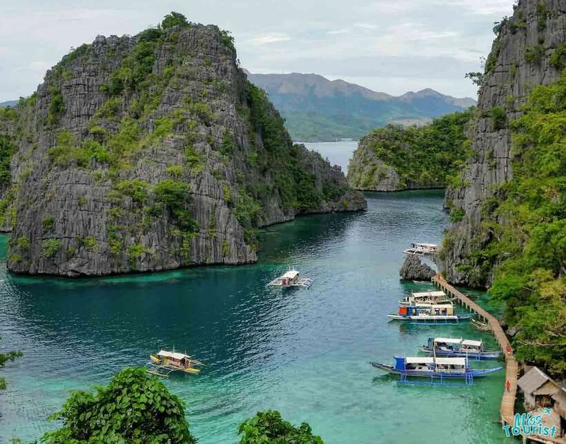 Coron: Barracuda Lake and Reef Garden Tour with Lunch - Starting in Coron Town Proper