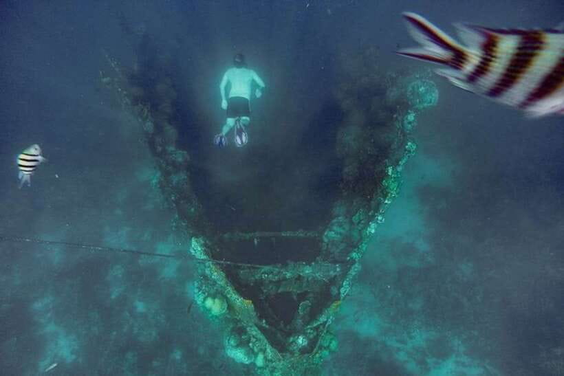 Coron: Barracuda Lake, Skeleton Wreck, Twin Lagoon Boat Tour - Barracuda Lake and its strange warm water
