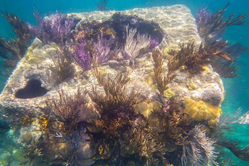 Coron: Coastal Cliffs, Beach & Malcapuya Island Hopping Tour - Bulog Dos offers a quieter final beach