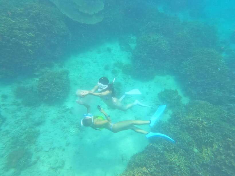 Coron: Dugong Watching with Sea Turtle and Coral Garden tour - Lunch, drinks, and what the $155 covers