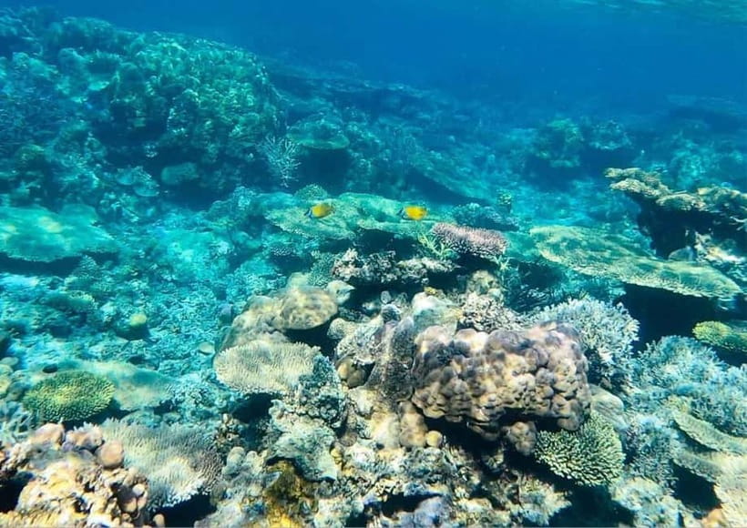 Coron: Island Tour B - Smith Beach provides the day’s breathing room