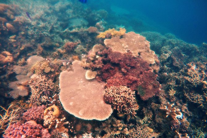 Coron Island Tour B (Shared Tour) - What your Coron day looks like from 8 a.m.