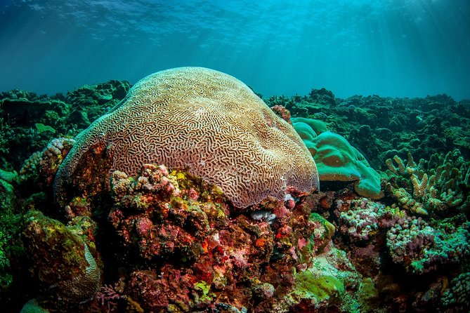 Coron Island Tour B (Shared Tour) - What $110 includes, and what it may not