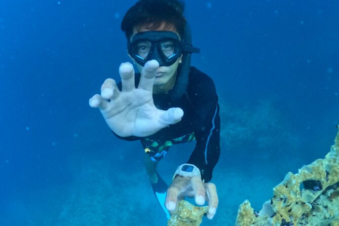 Coron Island Ultimate Tour: Private Boat and Tour Guide - Twin Lagoon’s warm and cool layers