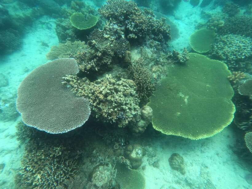 Coron: Kayangan Lake, Twin Lagoon, and Siete Pecados Tour - The food, equipment, and boat-day practicalities