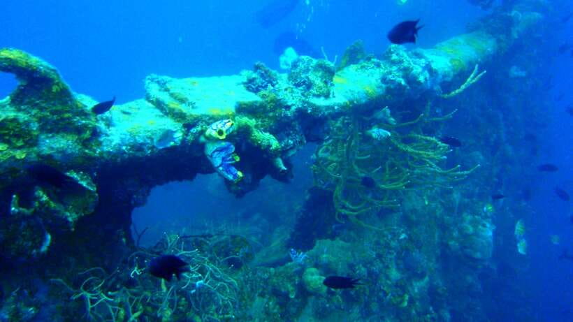 Coron Private Tour D: Reef and Wrecks - Why Coron’s Reef and Wrecks route works