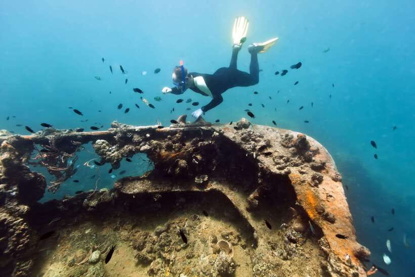 Coron Private Tour D: Reef and Wrecks - Lusong Coral Garden changes the pace