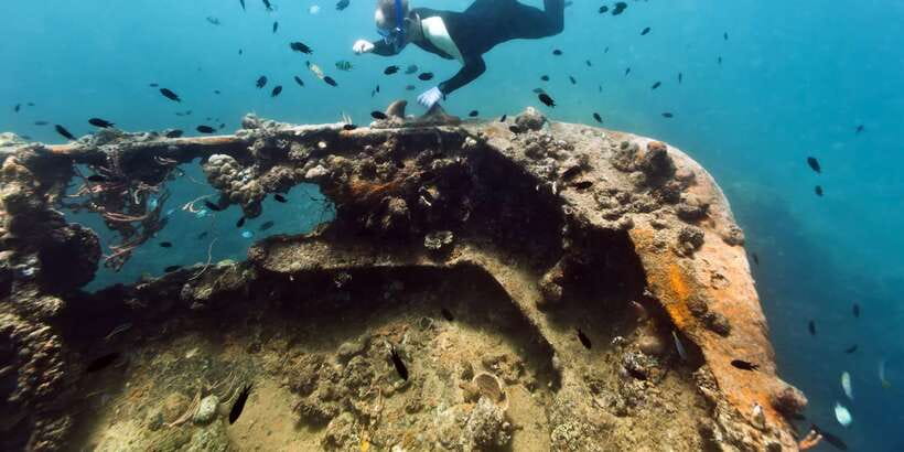 Coron Private Tour D: Reef and Wrecks - Is $120 a fair price for eight hours?