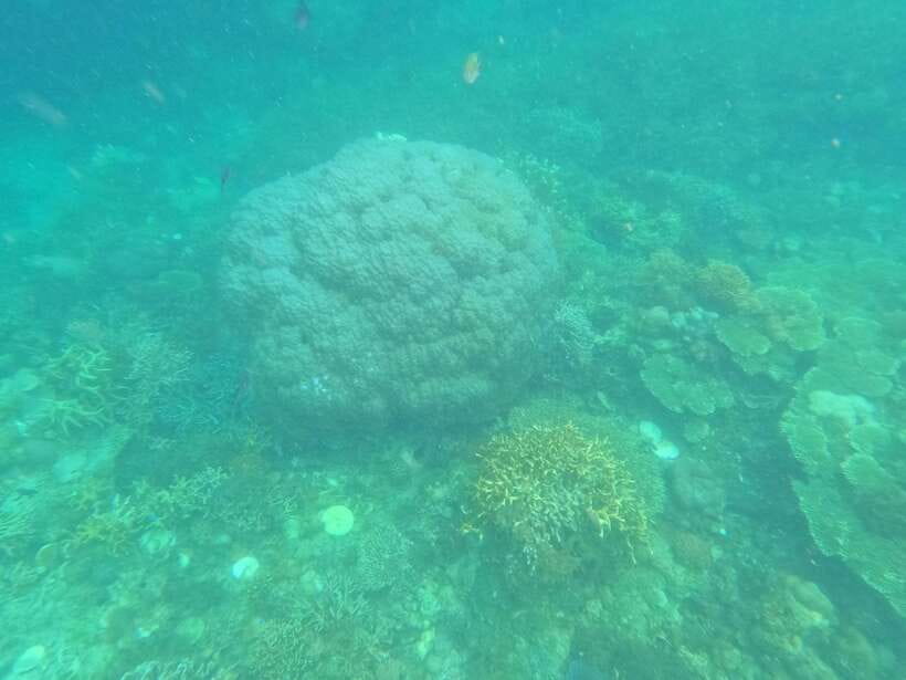 CORON:REEF AND WRECK - 2 JAPANESE WRECK AND PASS ISLAND TOUR - The East Tangat question