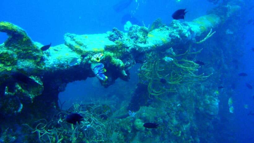 Coron Reef and Wrecks Tour (Private Tour) - What the 8-hour Coron itinerary is really like