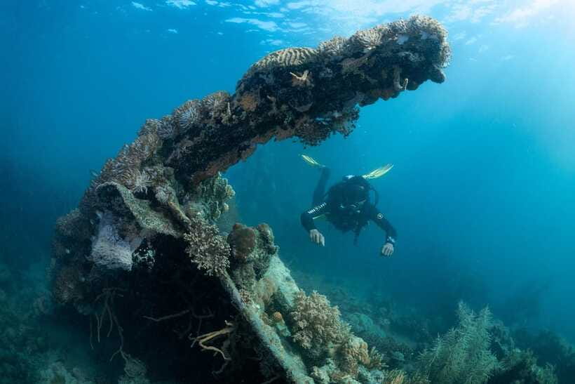 Coron Reef and Wrecks Tour (Private Tour) - Lusong Coral Garden is the underwater highlight