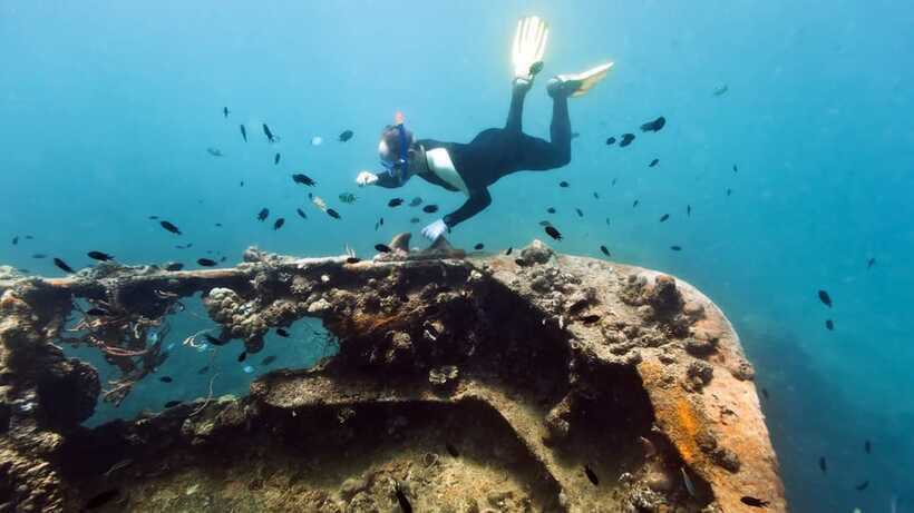 Coron Reef and Wrecks Tour (Private Tour) - Booking details worth checking before you go