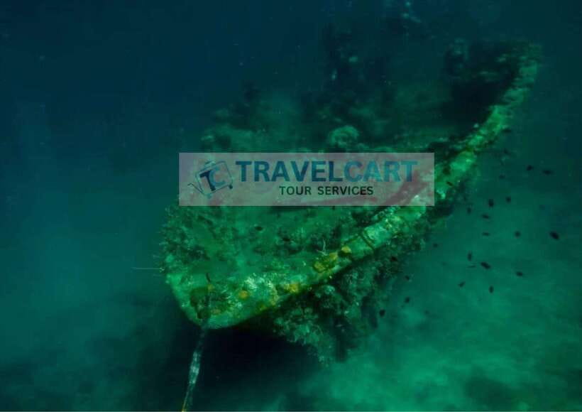 Coron Reef & Wrecks Tour - Key points to know before booking