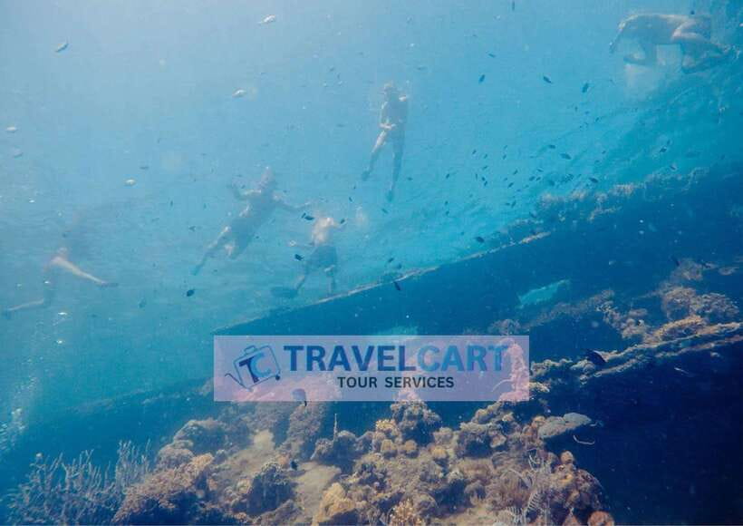 Coron Reef & Wrecks Tour - Why this Coron boat trip is worth considering