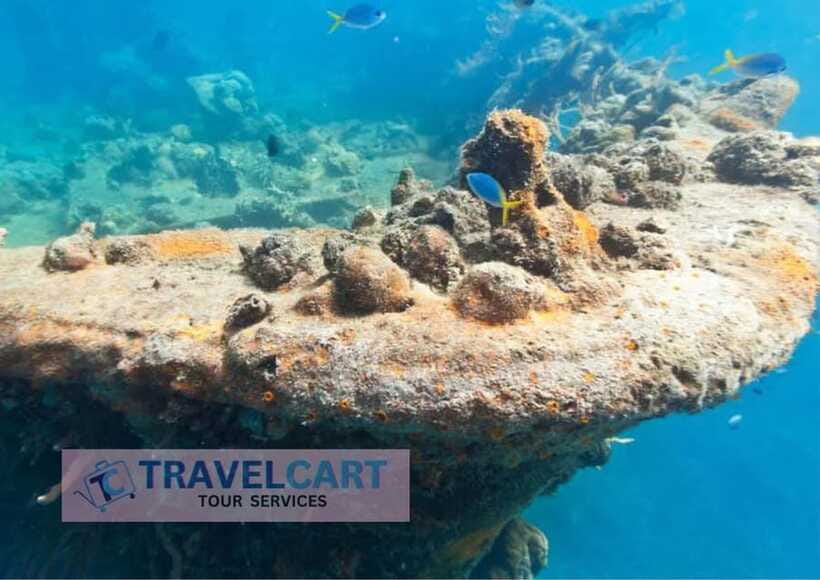 Coron Reef & Wrecks Tour - East Tangat Wreck: history turned into an artificial reef