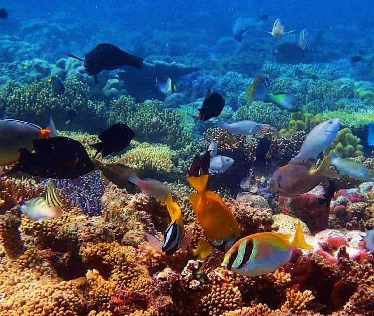 Coron: Siete Pecados & Pukaway Cave Private Tour - Banul Beach turns lunch into a proper stop
