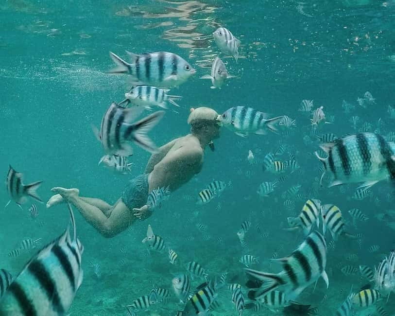 Coron: Super Ultimate 7 Destination with Lunch & Transfer - CYC Beach and the coral garden
