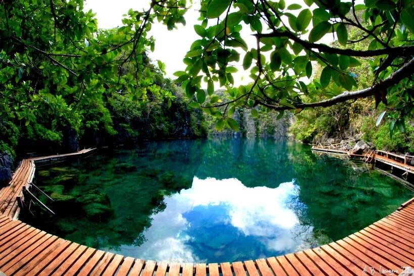 Coron Tour A: Kayangan Lake & Quin Reef Tour with Lunch - Kayangan Lake and its unusual underwater shape