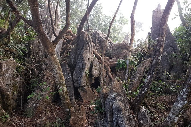 Day hike to Mount Daraitan with Tinipak River 2024 - Summit views that reward the effort