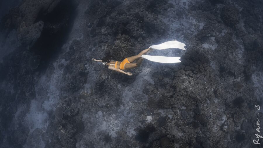 Discover Freediving in Boracay - Seeing Boracay below the surface