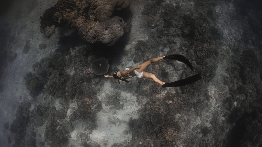 Discover Freediving in Boracay - Underwater photos and the small practical extras