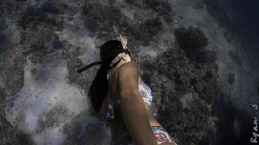 Discover Freediving in Boracay - Who should book this activity?