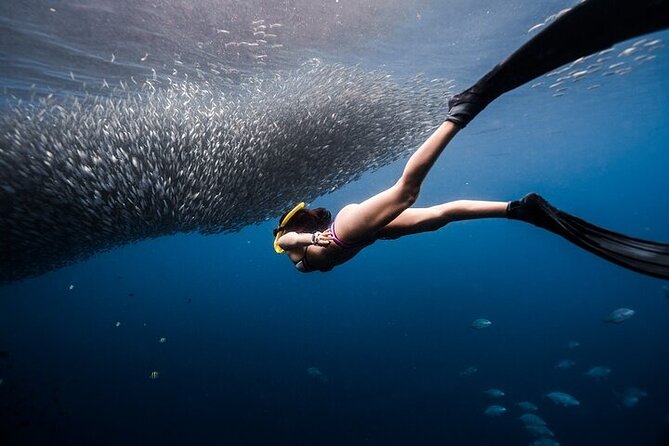 Discover Freediving One Amazing Day - Starting gently in the Panglao pool