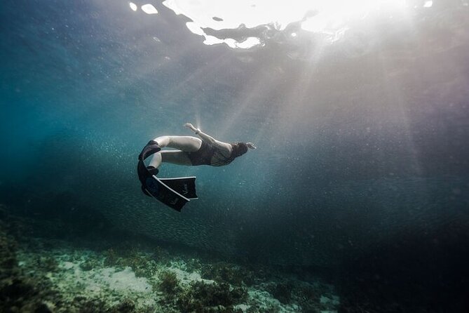 Discover Freediving One Amazing Day - Swimming with the Napaling sardines