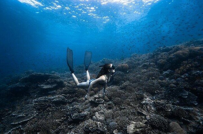 Discover Freediving One Amazing Day - What is included for the $225 price