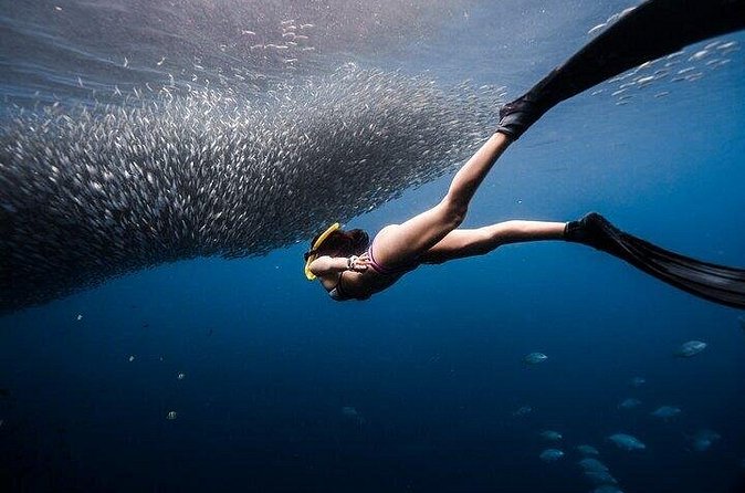 Discover Freediving One Amazing Day - Timing, meeting point, and group size