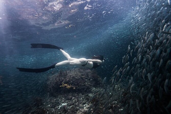 Discover Freediving One Amazing Day - Practical advice before you book