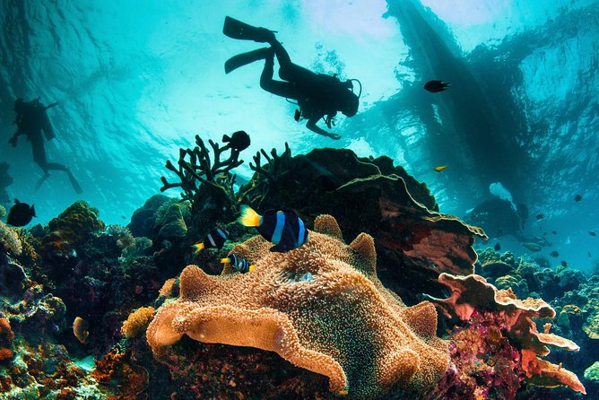 Discover Scuba Diving - Key points at a glance