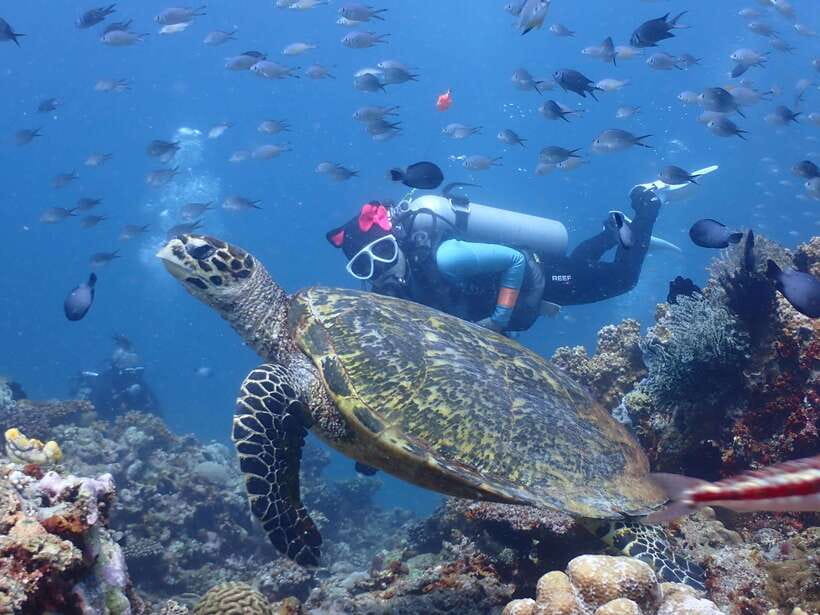 Discover Scuba Diving in Boracay - Your First Taste of Scuba in Boracay