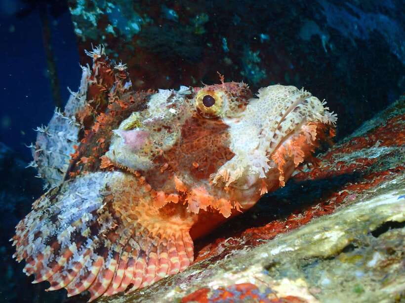 Discover Scuba Diving in Boracay - The Open-Water Session
