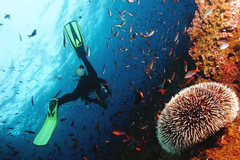 Discover Scuba Diving in Boracay - Who Should Choose This Experience