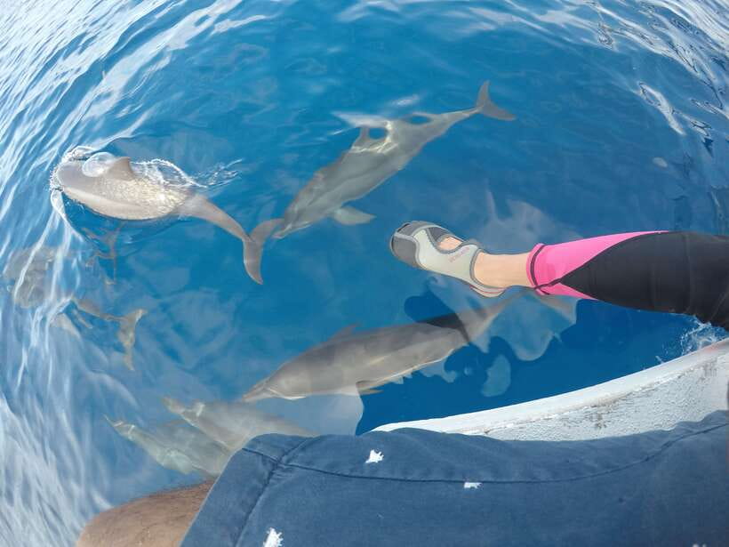 Dumaguete: Dolphin Watching & Manjuyod Sandbar Private Tour - Swimming and snorkeling in clear Bais Bay water