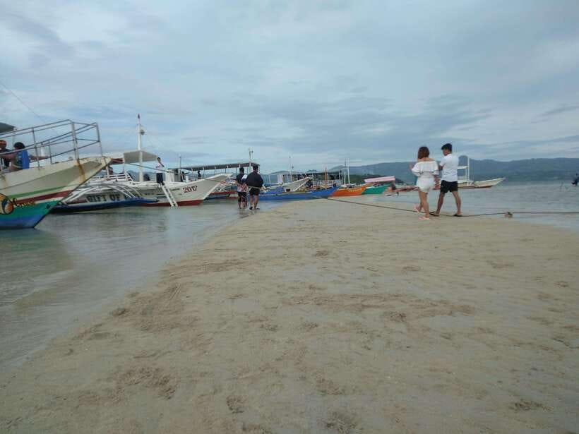 Dumaguete: Dolphin Watching & Manjuyod Sandbar Private Tour - Private group value at $223