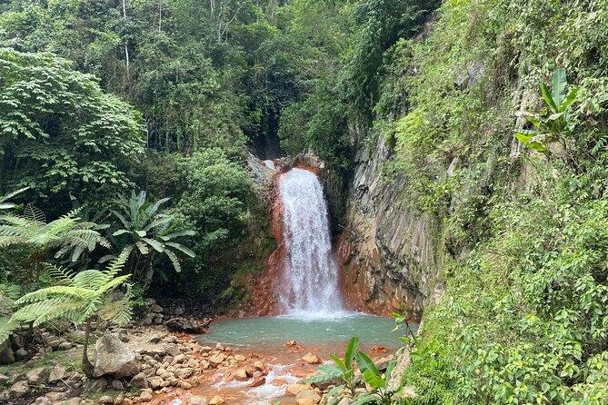 Dumaguete Tours in English - Key points to know before booking